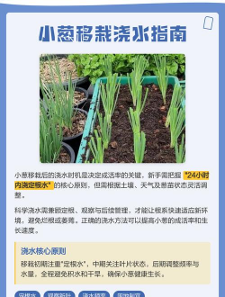 广西怡养花园大酒店，住宿体验分享，真实感受告诉你