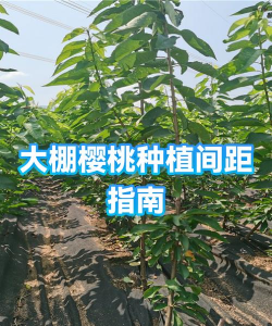 广西怡养花园大酒店，住宿体验分享，真实感受告诉你