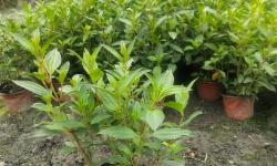 广西怡养花园大酒店，住宿体验分享，真实感受告诉你