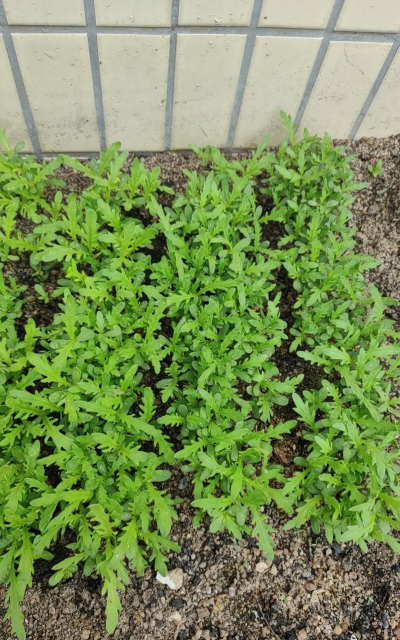 广西怡养花园大酒店，住宿体验分享，真实感受告诉你