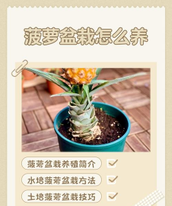 广西怡养花园大酒店，住宿体验分享，真实感受告诉你