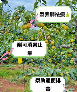 广西怡养花园大酒店，住宿体验分享，真实感受告诉你