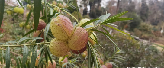 广西怡养花园大酒店，住宿体验分享，真实感受告诉你