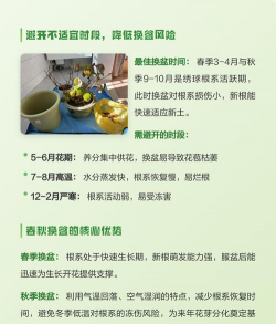 西安养殖场，选址要点，运营关键