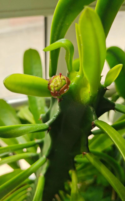 西安养殖场，选址要点，运营关键