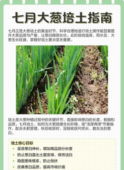 西安养殖场，选址要点，运营关键