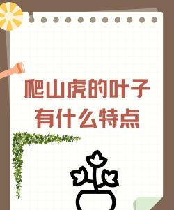 西安养殖场，选址要点，运营关键