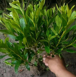 西安养殖场，选址要点，运营关键