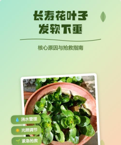 西安养殖场，选址要点，运营关键