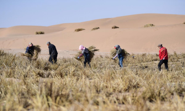 西安养殖场，选址要点，运营关键