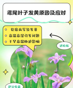 西安养殖场，选址要点，运营关键