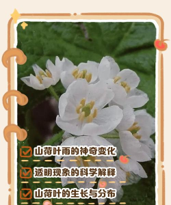 西安养殖场，选址要点，运营关键