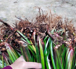 西安养殖场，选址要点，运营关键