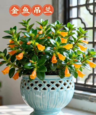 山东水产养殖，提升养殖效益，掌握关键技术