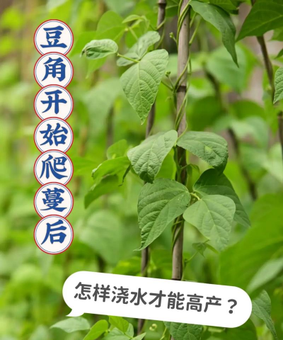 山东水产养殖，提升养殖效益，掌握关键技术