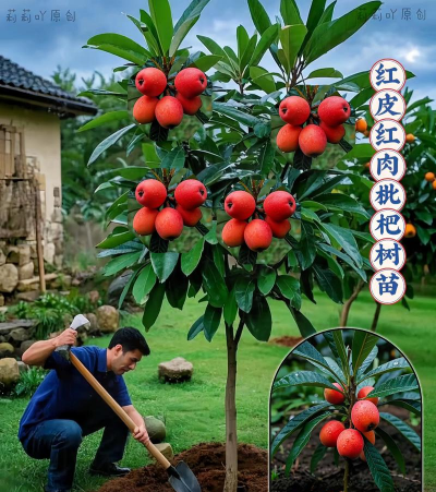 山东水产养殖，提升养殖效益，掌握关键技术