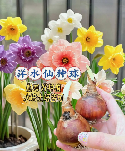 山东水产养殖，提升养殖效益，掌握关键技术