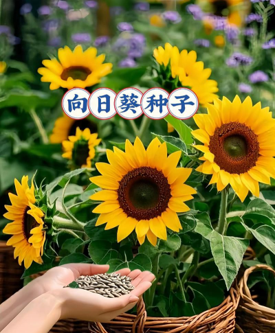 山东水产养殖，提升养殖效益，掌握关键技术