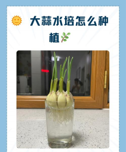 山东水产养殖，提升养殖效益，掌握关键技术