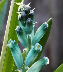 山东水产养殖，提升养殖效益，掌握关键技术