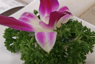 山东水产养殖，提升养殖效益，掌握关键技术