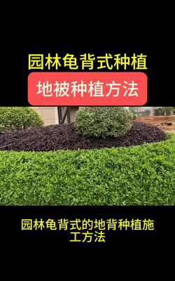 山东水产养殖，提升养殖效益，掌握关键技术