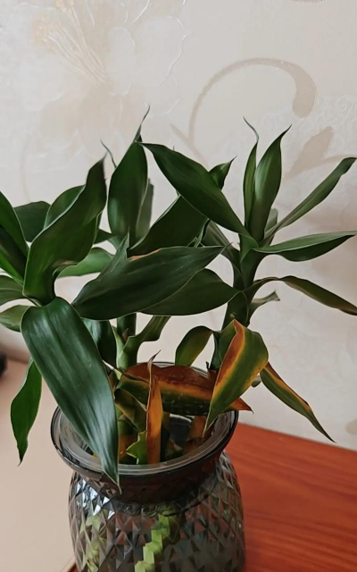 山东水产养殖，提升养殖效益，掌握关键技术