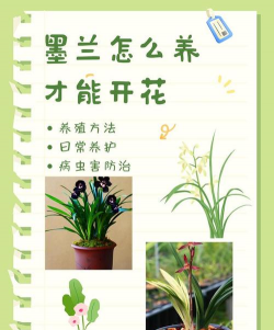 山东水产养殖，提升养殖效益，掌握关键技术