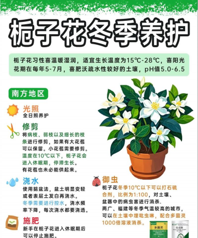 养花的诗句，传递生活情感，点缀日常美好