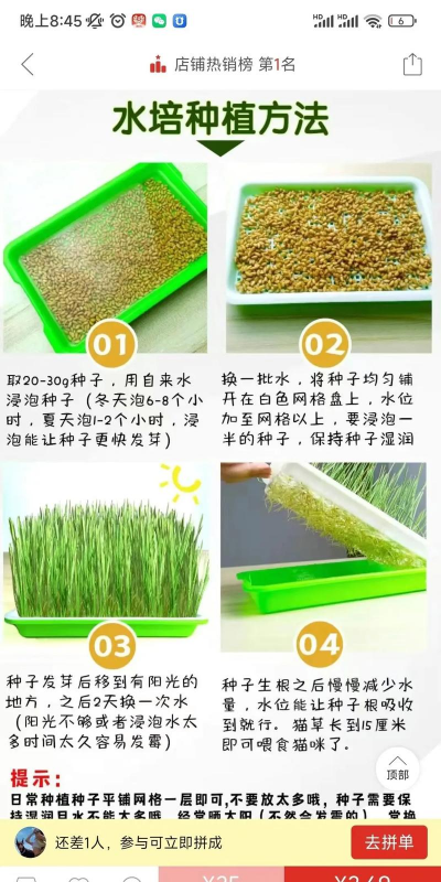 养花的诗句，传递生活情感，点缀日常美好