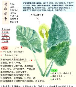 养花的诗句，传递生活情感，点缀日常美好