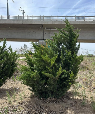 养殖致富新项目，选择方向多，收益潜力大