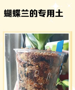 养殖致富新项目，选择方向多，收益潜力大