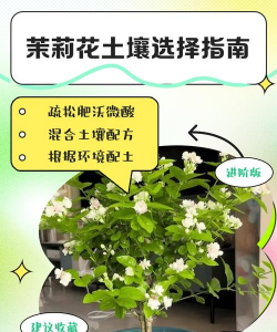 养殖致富新项目，选择方向多，收益潜力大