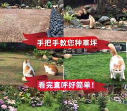 养殖致富新项目，选择方向多，收益潜力大