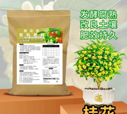 养殖致富新项目，选择方向多，收益潜力大