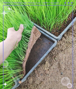 养殖致富新项目，选择方向多，收益潜力大