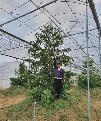 特种动物养殖，市场前景广阔，新手入门指南