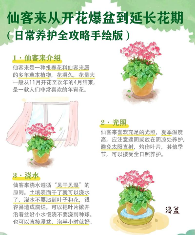 养殖致富新项目，选择方向多，收益潜力大