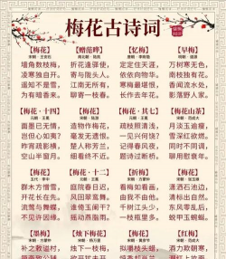 绿植花卉批发，货源怎么找，价格怎么谈