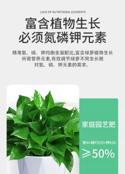 花卉花盆，选对材质，养花更轻松