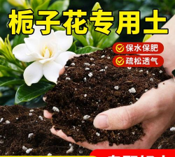 花卉花盆，选对材质，养花更轻松