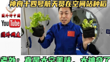 花卉花盆，选对材质，养花更轻松