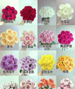 花卉花盆，选对材质，养花更轻松