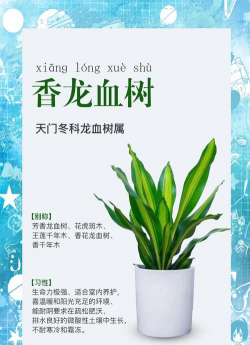 养花工具大全，新手必备清单，轻松打理花草