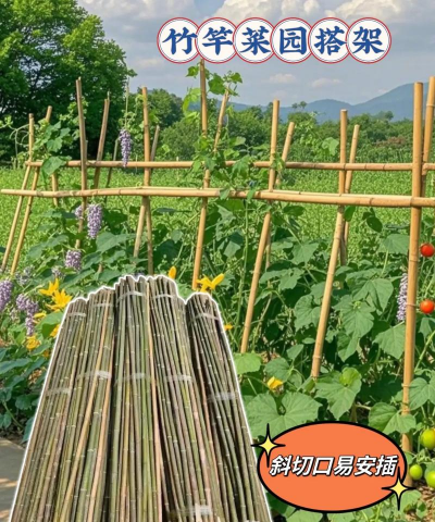 养花工具大全，新手必备清单，轻松打理花草