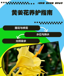 香蕉皮养花，废物利用，省钱又环保