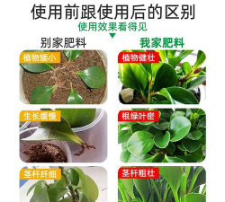 香蕉皮养花，废物利用，省钱又环保