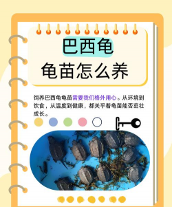 芦荟的养殖方法，轻松掌握技巧，养出健康植株