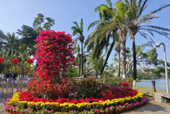 花卉欣赏论文，写作要点，结构解析